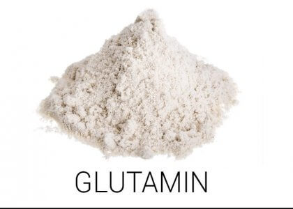 Alles über die Glutamin Wirkung – Was du wissen solltest