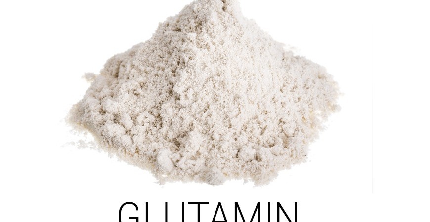 Alles über die Glutamin Wirkung – Was du wissen solltest