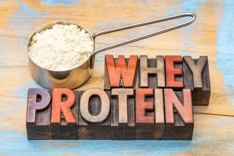 Whey Protein – Das Eiweiß für einen schnellen Muskelaufbau