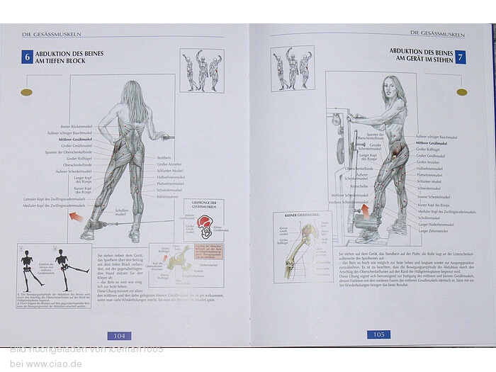 Der neue Muskel Guide -Bodybuilding Bücher
