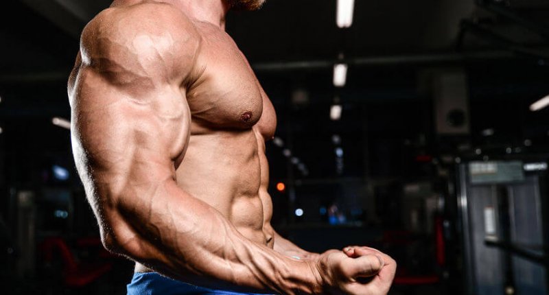 19 Gründe, warum du deine Ernährung mit Kreatin ergänzen musst