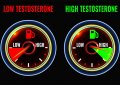 Top 9 Testo Booster - So kannst du dein Testosteron ganz natürlich erhöhen