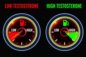Top 9 Testo Booster – So kannst du dein Testosteron ganz natürlich erhöhen Top 9 Testo Booster – So kannst du dein Testosteron ganz natürlich erhöhen