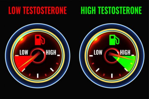 Top 9 Testo Booster – So kannst du dein Testosteron ganz natürlich erhöhen