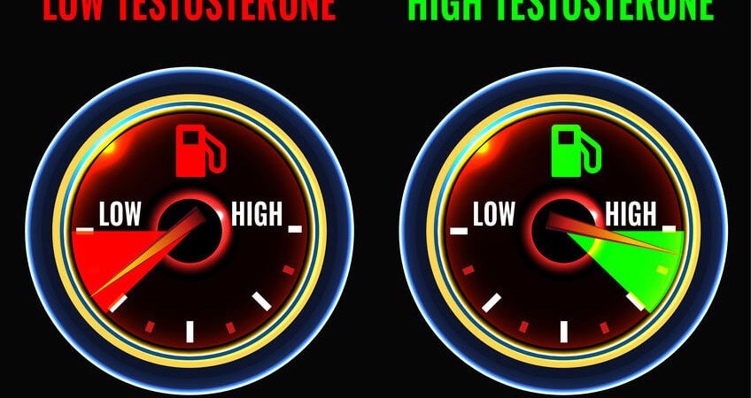 Top 9 Testo Booster – So kannst du dein Testosteron ganz natürlich erhöhen
